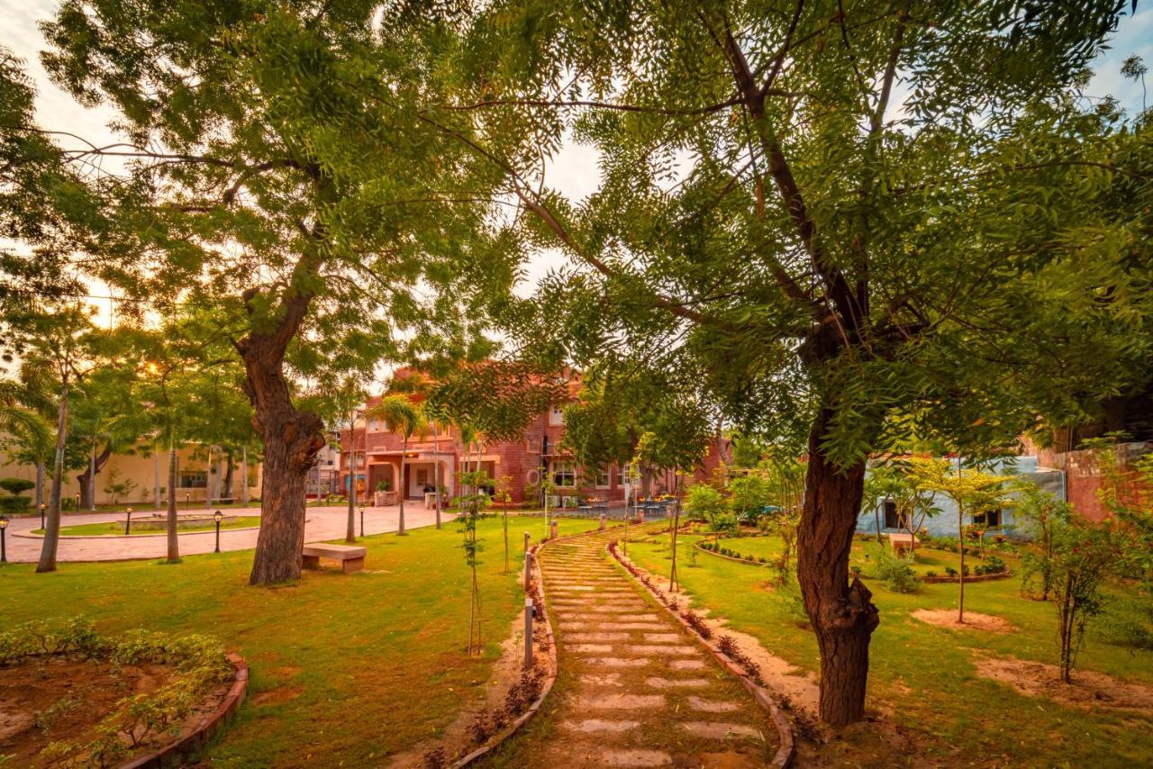Tree Of Life Bhadrajun House, Jodhpur Otel Jodhpur  Dış mekan fotoğraf